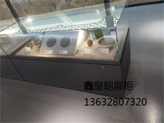 博物馆平柜047